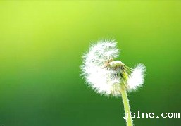 “温心杯”辩论赛增设初赛下半场啦，快到碗里来